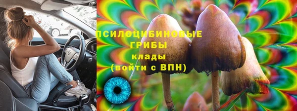 метадон Пестово