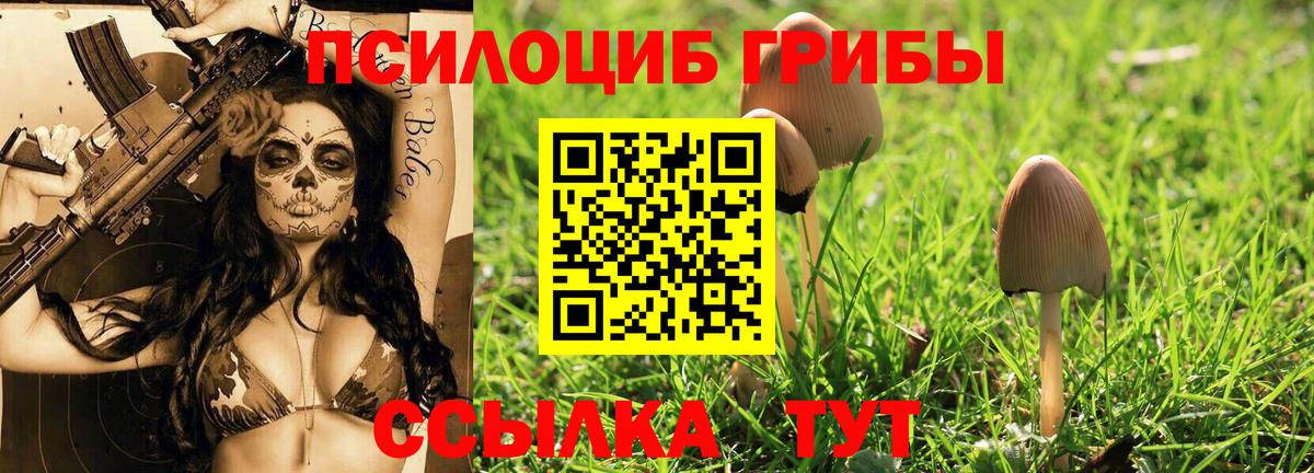 Галлюциногенные грибы прущие грибы Кубинка